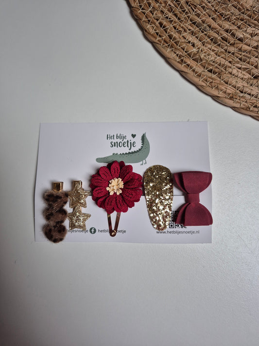 Set van 5 haarspeldjes