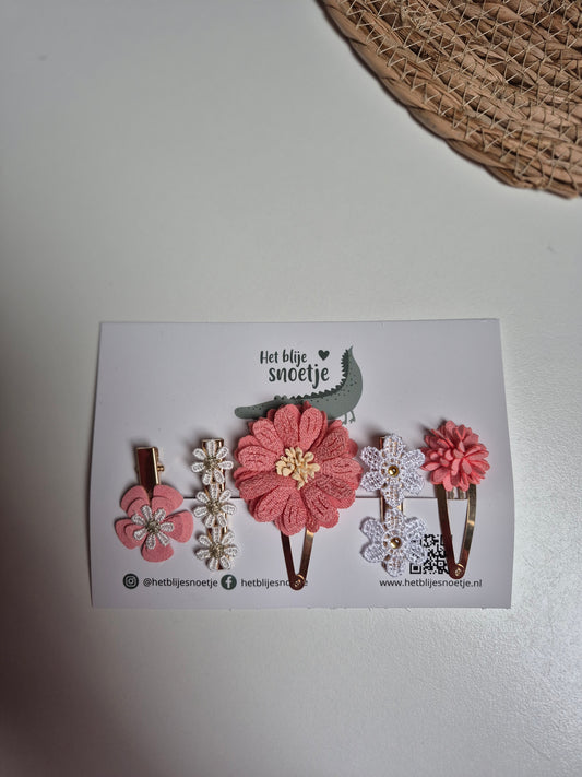 Set van 5 haarspeldjes