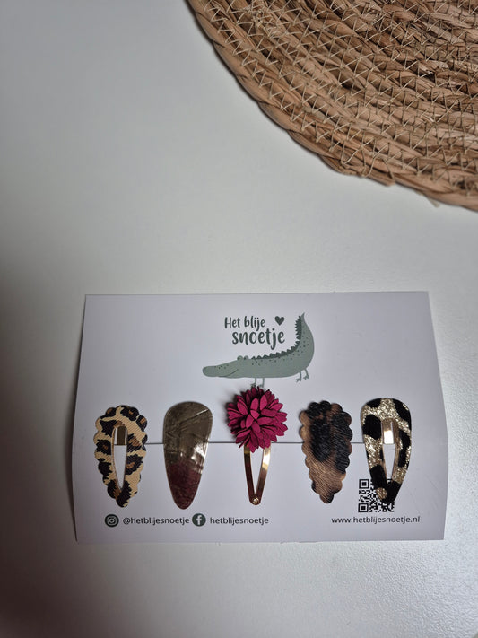 Set van 5 haarspeldjes