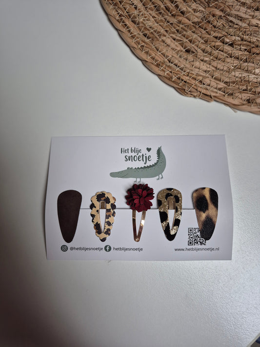 Set van 5 haarspeldjes