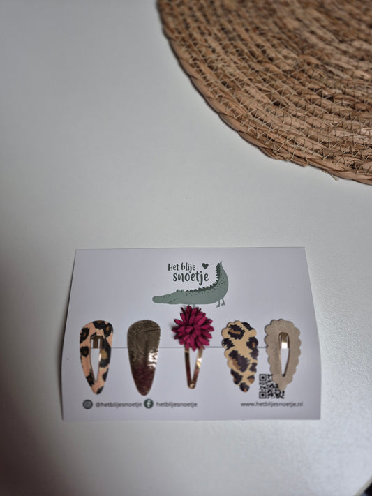 Set van 5 haarspeldjes