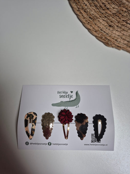 Set van 5 haarspeldjes